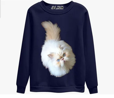 دورس بچه روباه